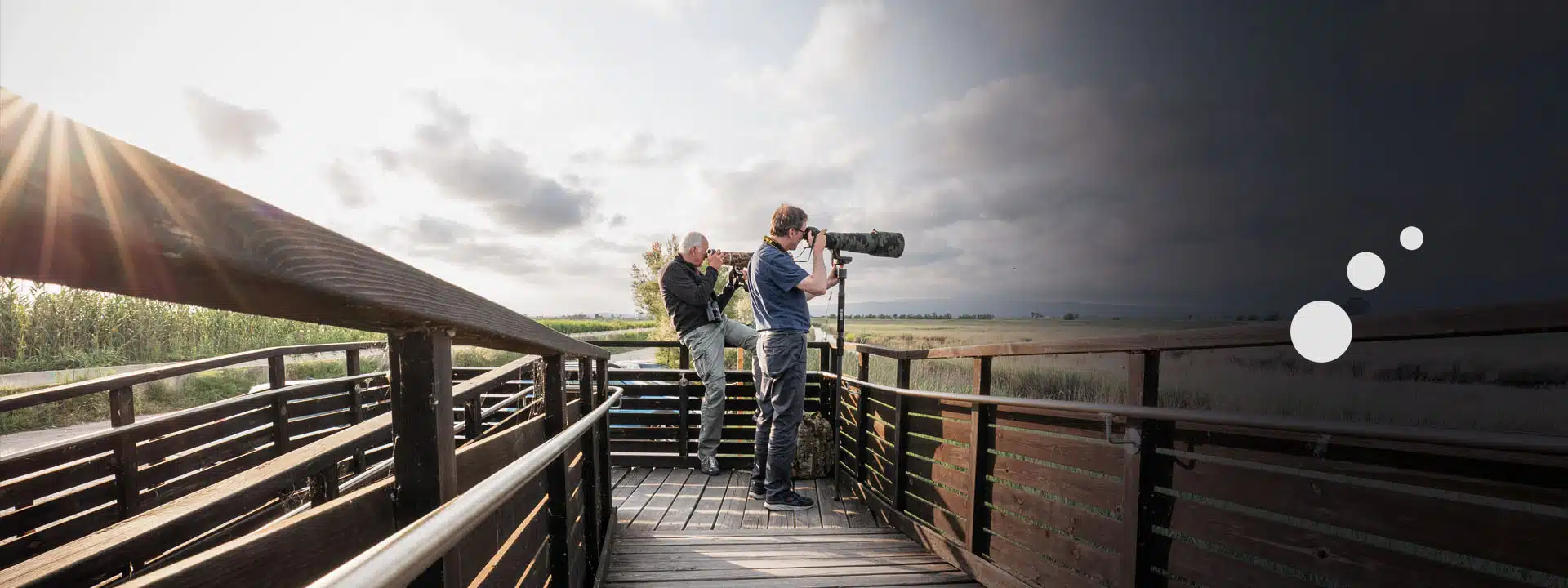 Delta Birding Festival