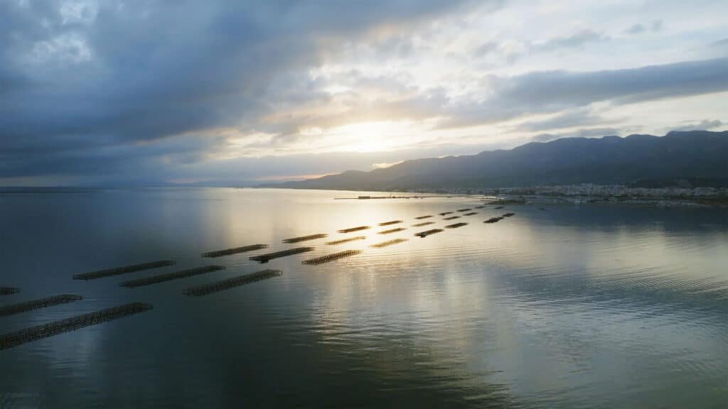 Reserva de la Biosfera