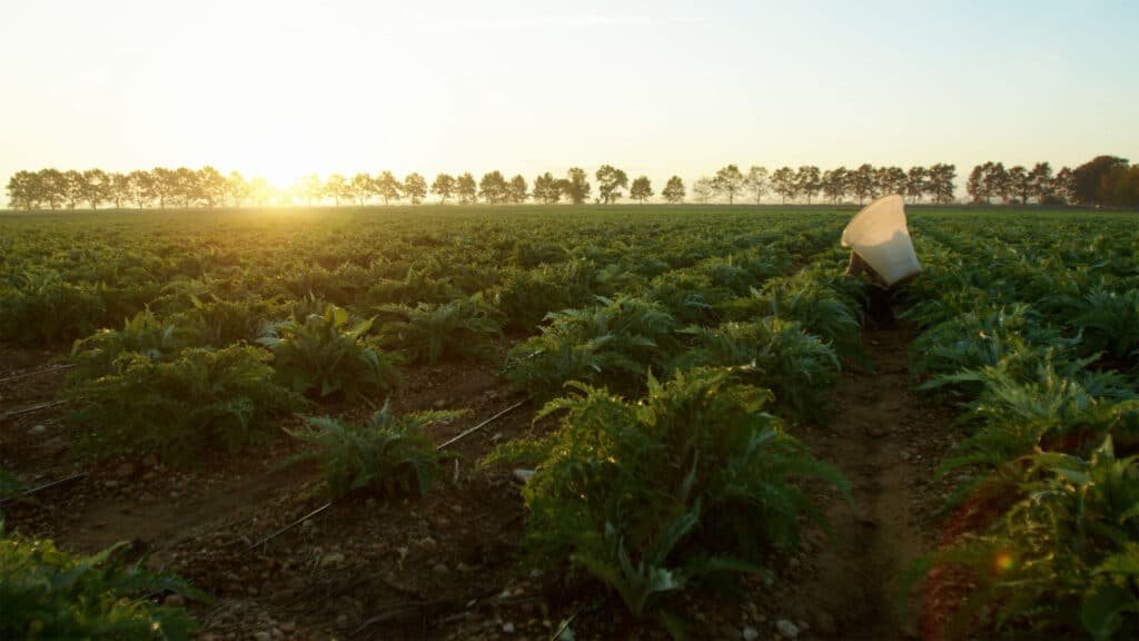 Reserva de la Biosfera