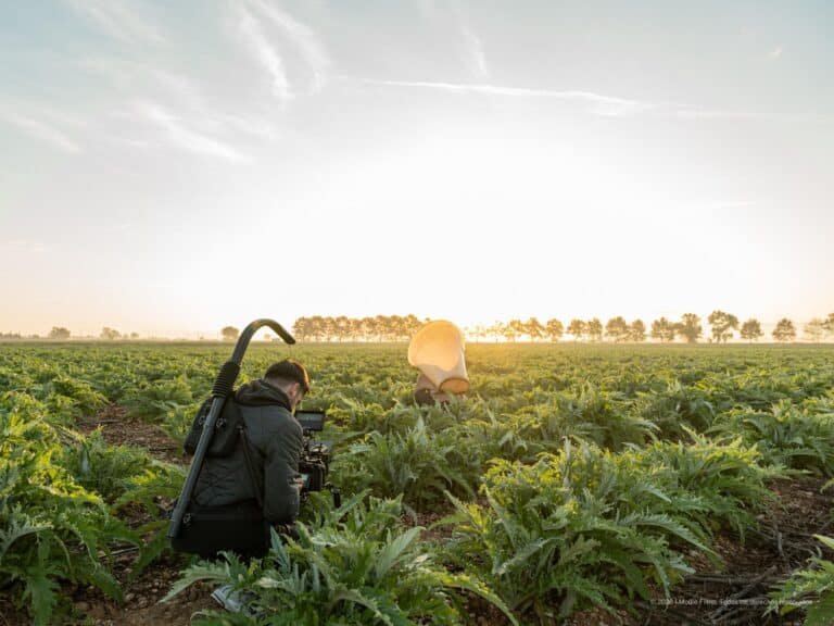 Location Scout & Fixer en el Delta del Ebro y Tarragona